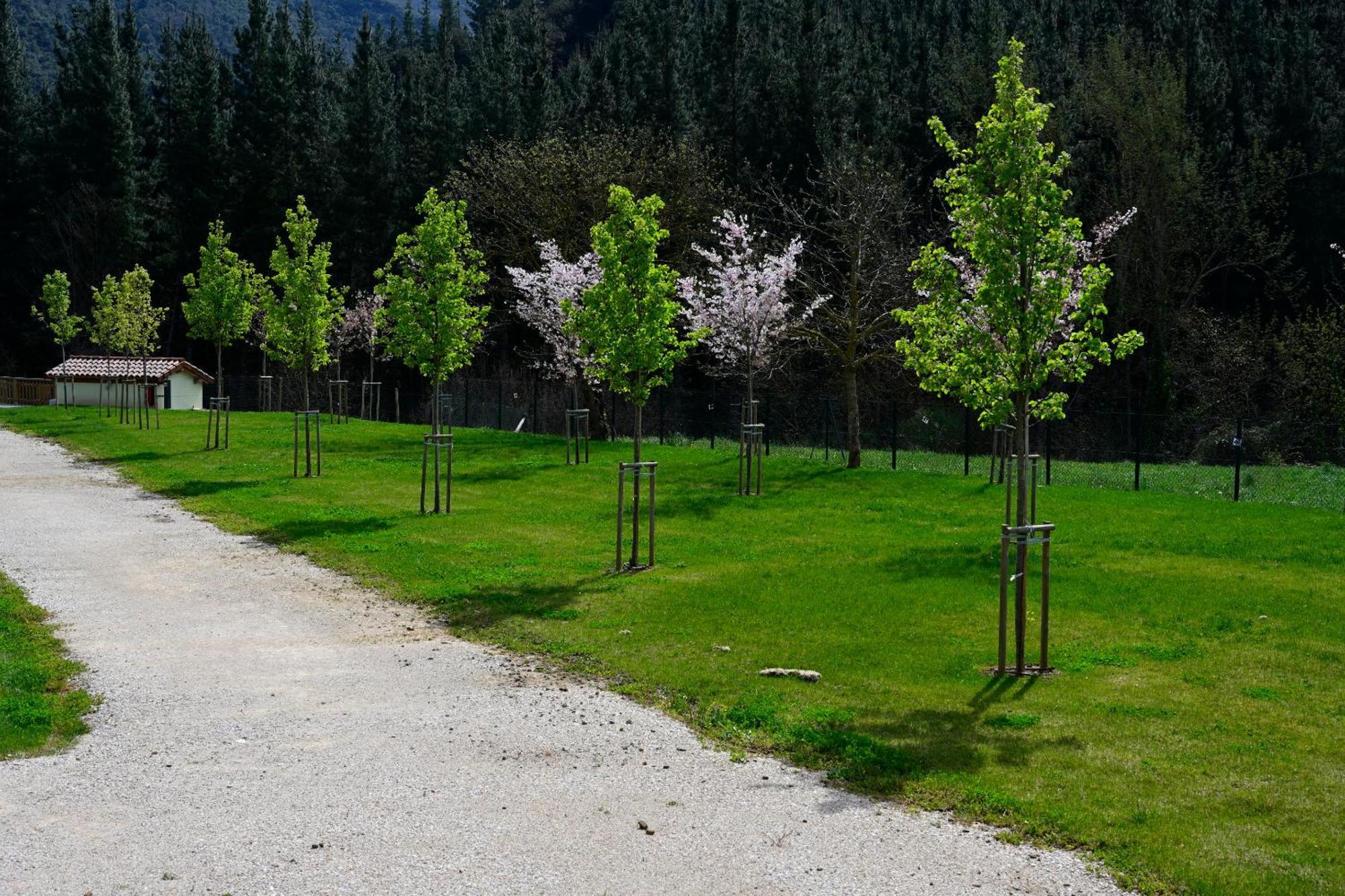 Camping Liebana Cabezón de Liébana المظهر الخارجي الصورة